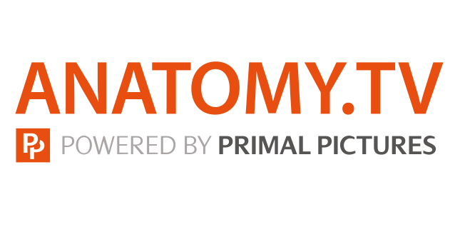 Anatomy TV Logo