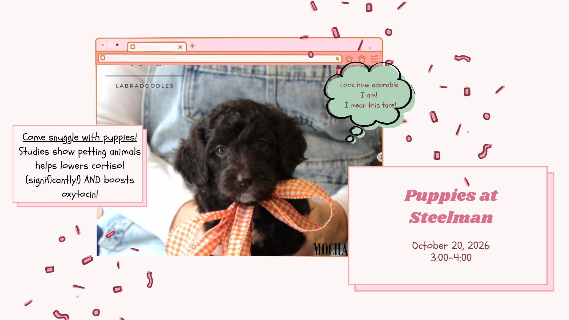 Puppies