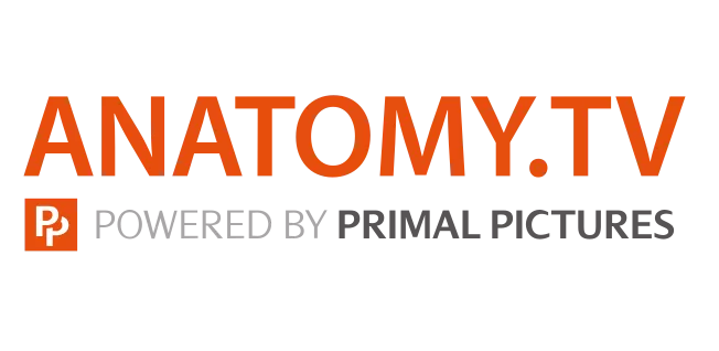 Anatomy TV Logo
